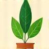 Illustration of a healthy green plant
